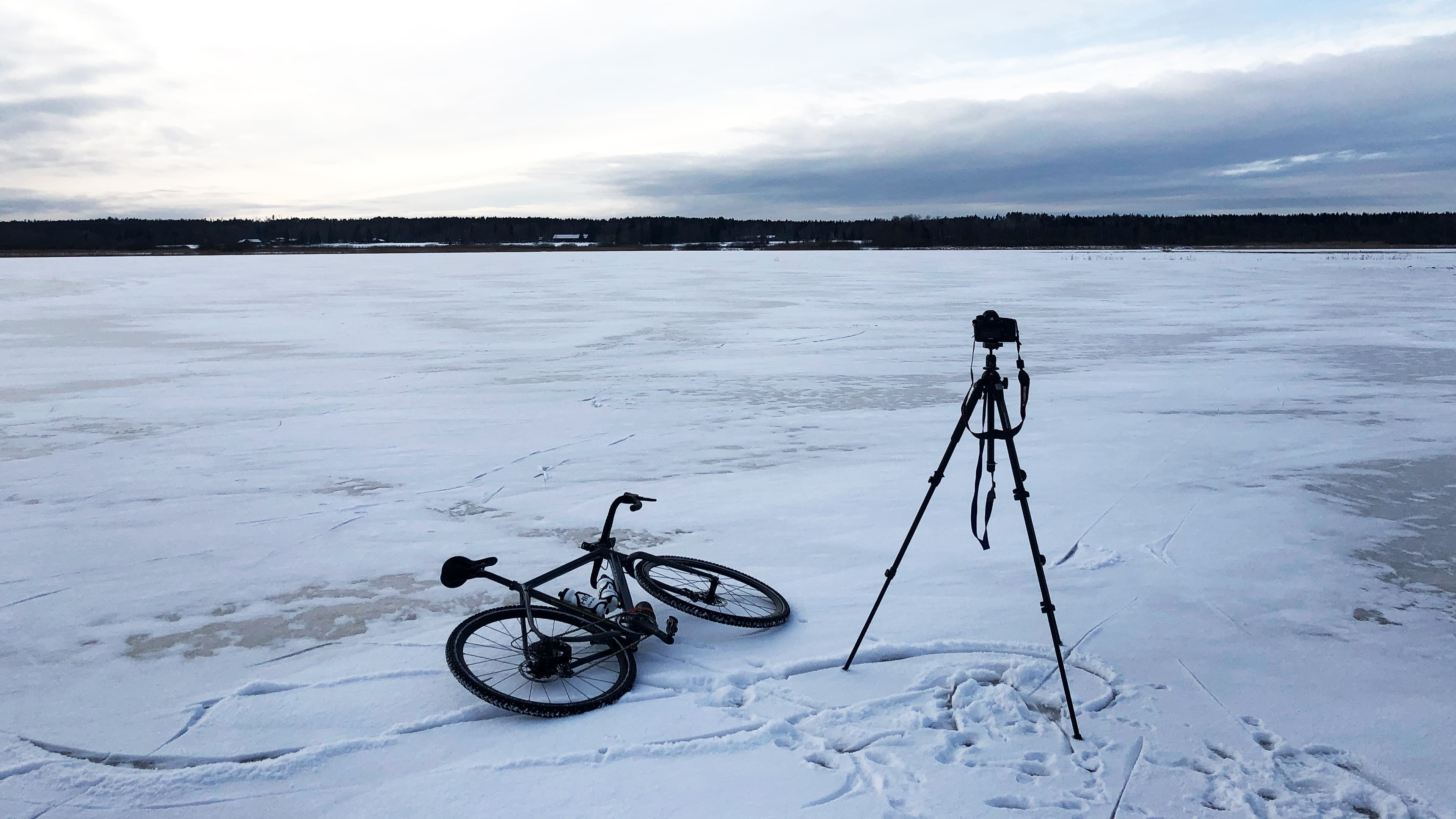 Picture of the author